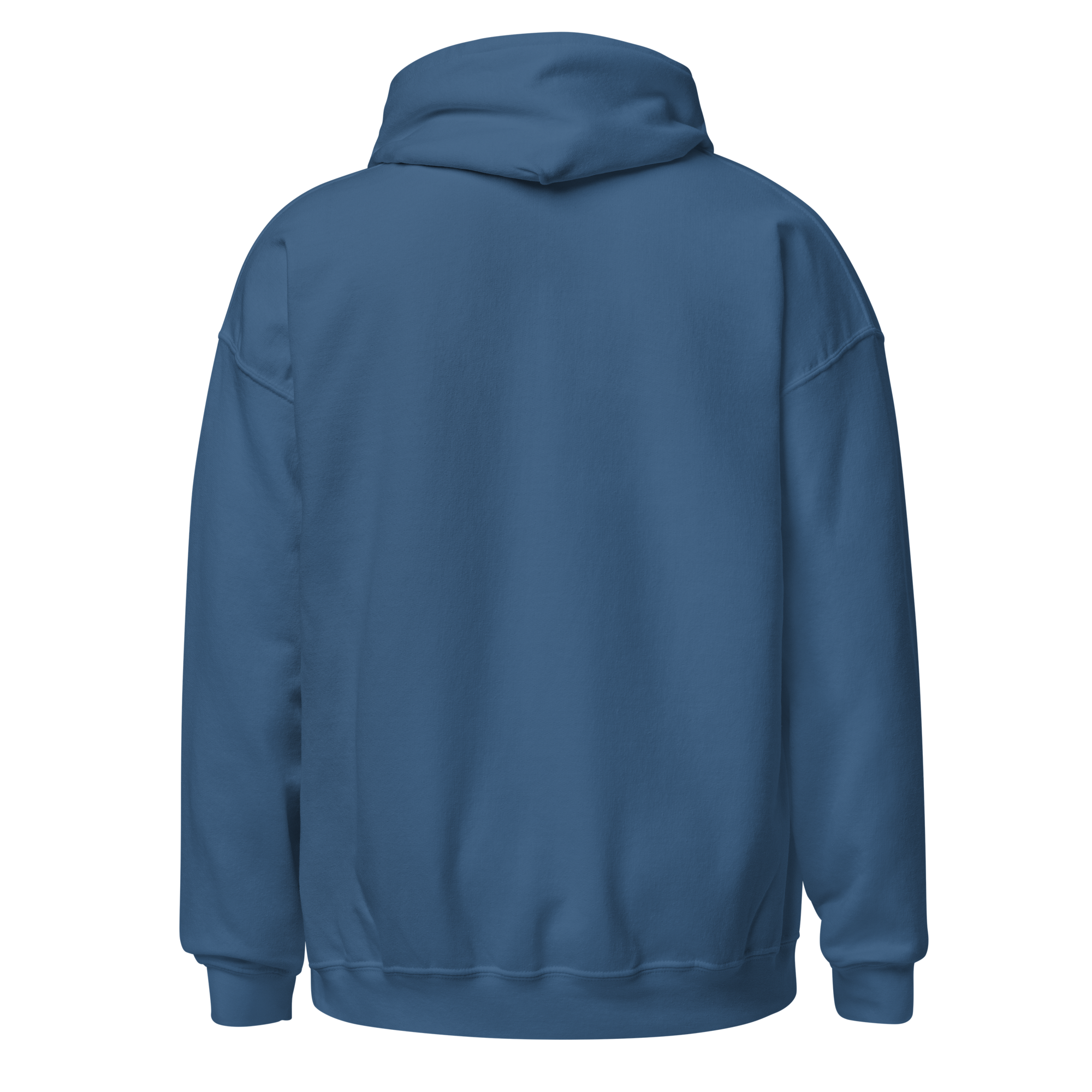 Blue embroidered hoodie with soft interior, structured fit, and minimal streetwear design.