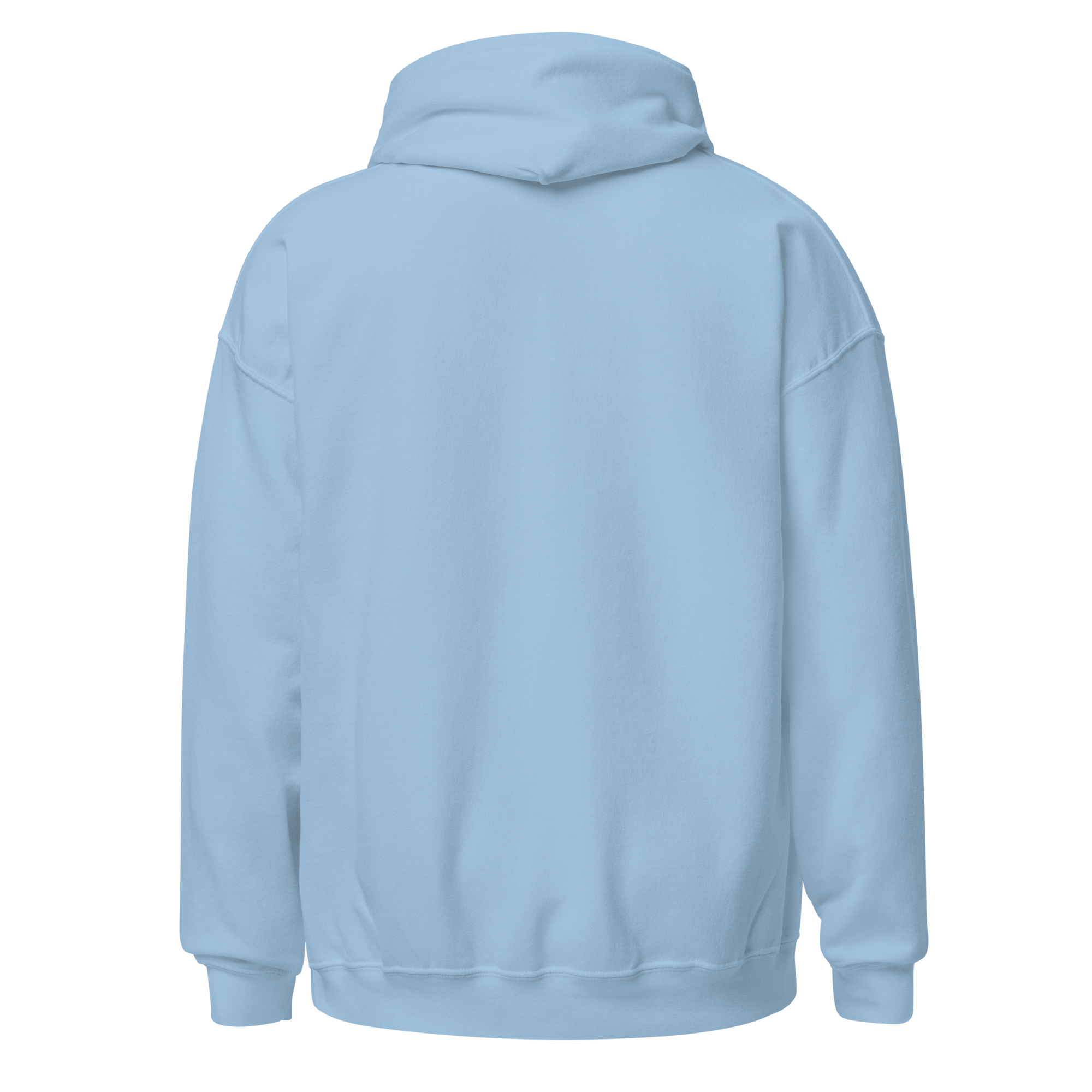 Light blue embroidered hoodie with soft interior, structured fit, and minimal streetwear design.