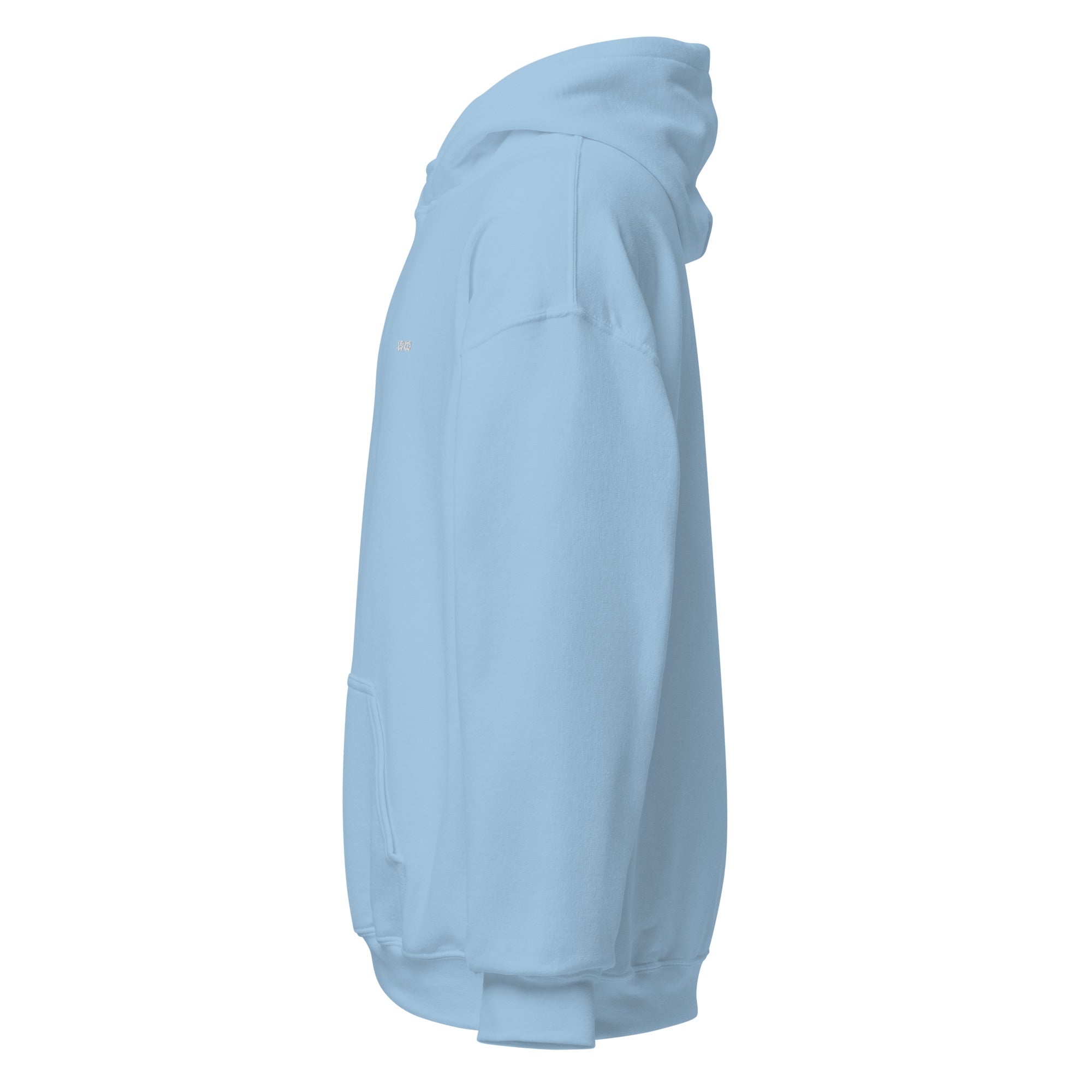 Light blue embroidered hoodie featuring soft interior, premium comfort, and structured streetwear fit.