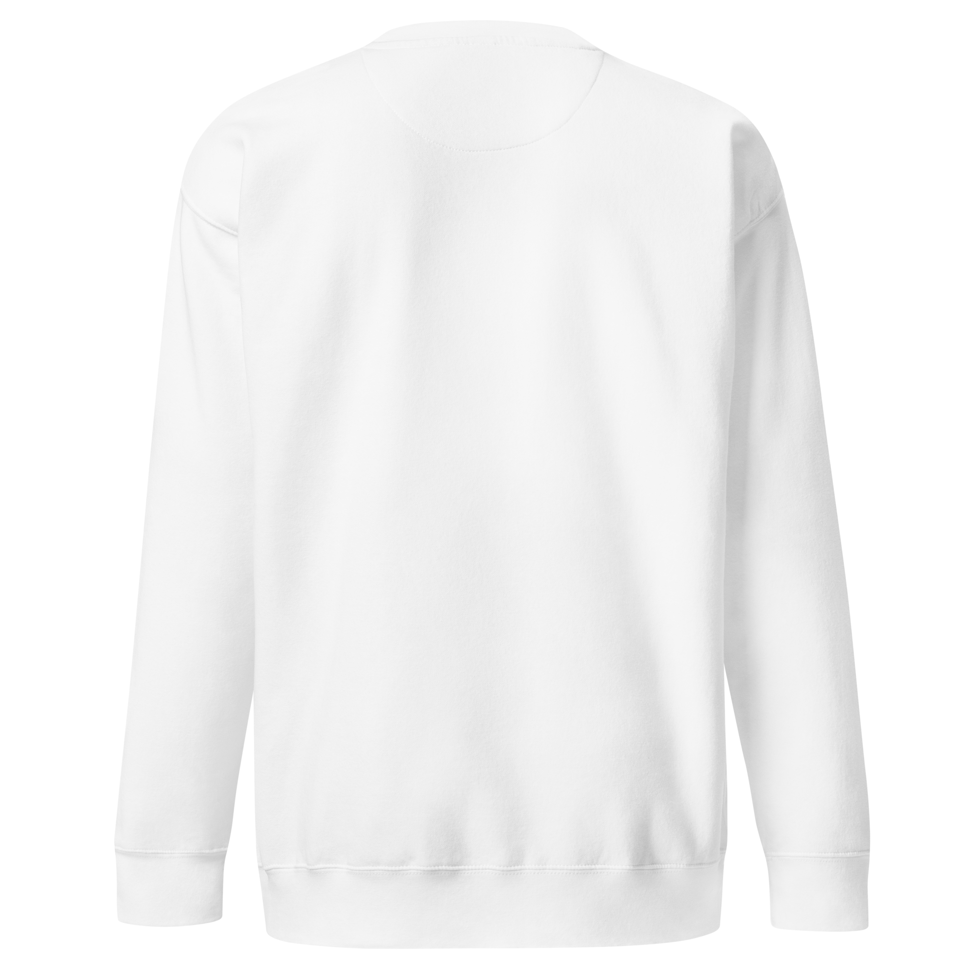 White embroidered hoodie with soft interior, structured fit, and minimal streetwear design.