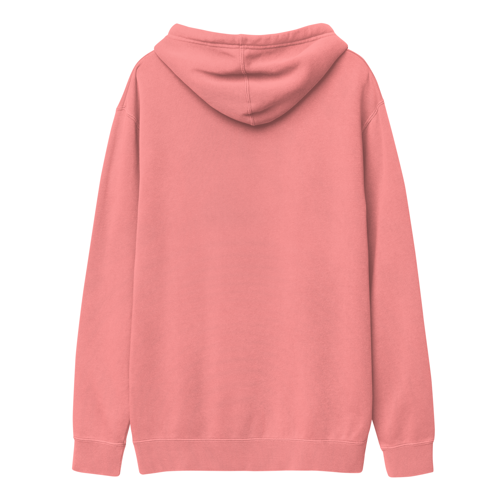 AB&CO Embroidered Graphic Pigment-Dyed Hoodie AB&CO